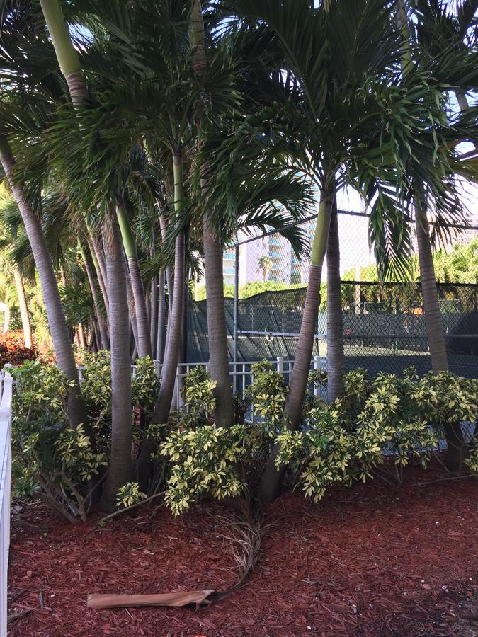 Ocean Reserve Str-01045 Miami Beach Exterior photo